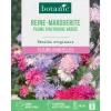 BOTANIC® Graines de fleurs de Reinemarguerite plume d'autruche ou Aster de Chine variée