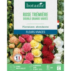 Discount BOTANIC® Graines de fleurs de Rose trémière double grande variée