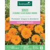 New BOTANIC® Graines de fleurs de Souci à grande fleur double orange