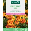 Hot BOTANIC® Graines de fleurs d'Œillet d'inde boléro