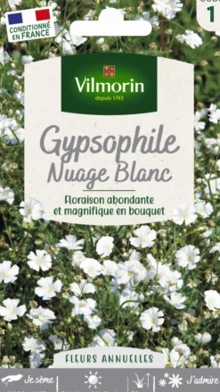 Discount VILMORIN Graines de Gypsophile Nuage blanc - graines à semer