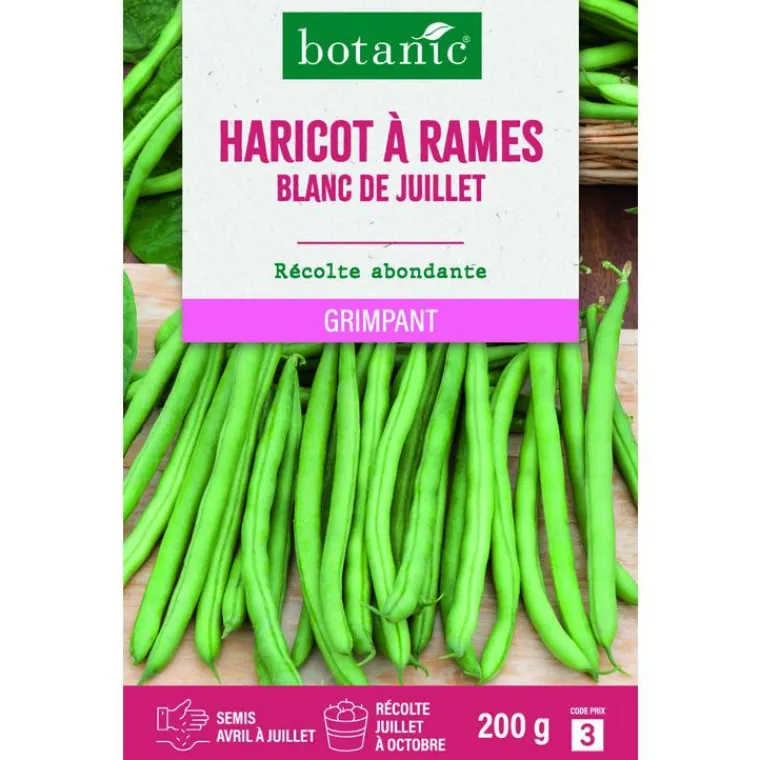 Clearance BOTANIC® Graines de haricot à rames blanc de Juillet mangetout - graines à semer 200 g