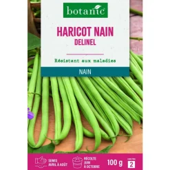 Online BOTANIC® Graines de haricot nain delinel extra-fin sans fil - graines à semer