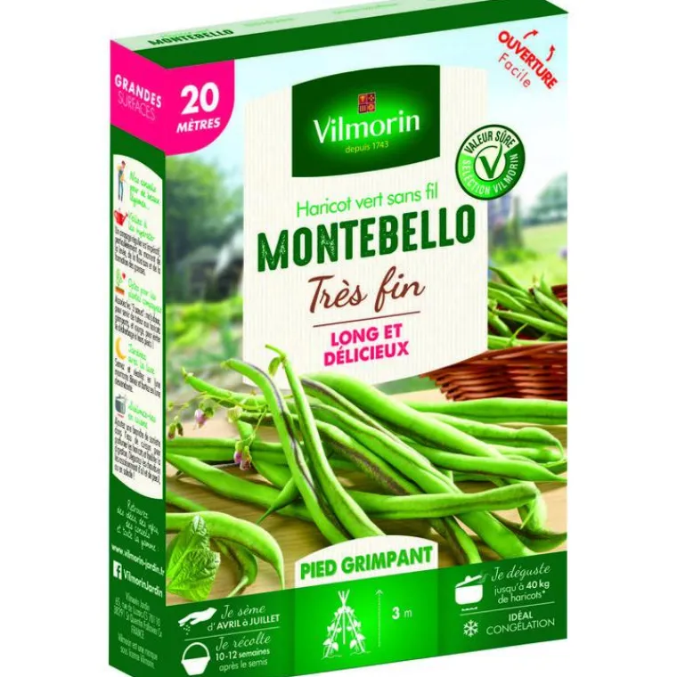 Outlet VILMORIN Graines de haricot nain Montebello - graines à semer