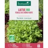 Outlet BOTANIC® Graines de laitue feuille de chêne verte bio - graines à semer