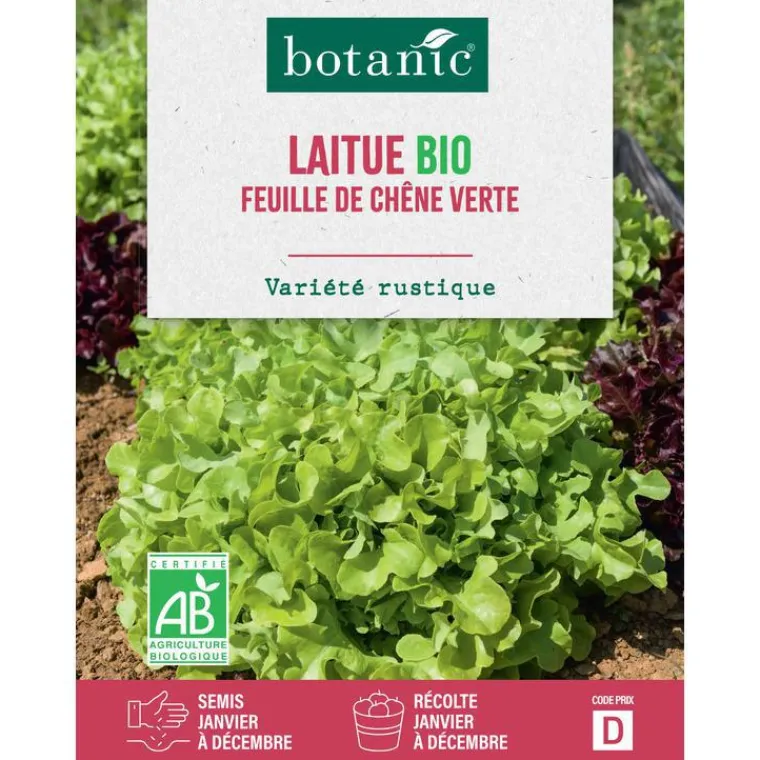 Outlet BOTANIC® Graines de laitue feuille de chêne verte bio - graines à semer