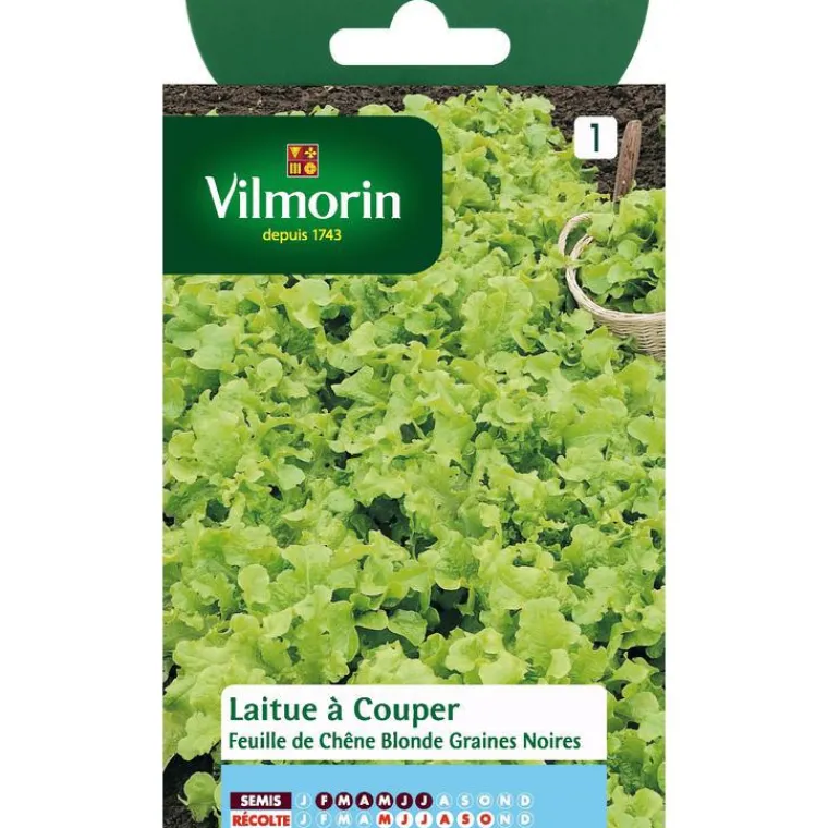 New VILMORIN Graines de laitue feuille de chêne blonde - graines à semer