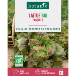 BOTANIC® Graines de laitue pasquier bio - graines pasquier semer