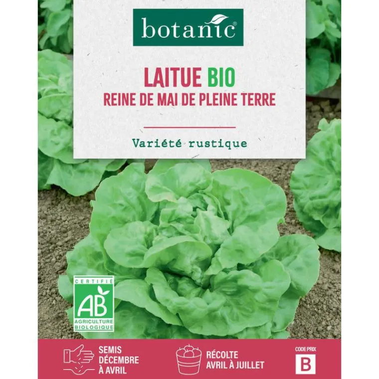 BOTANIC® Graines de laitue reine de Mai de pleine terre bio - graines à semer
