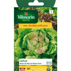 Outlet VILMORIN Graines de laitue reine de mai pleine terre - graines à semer