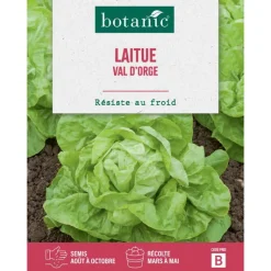 Best BOTANIC® Graines de laitue val d'orge - graines à semer