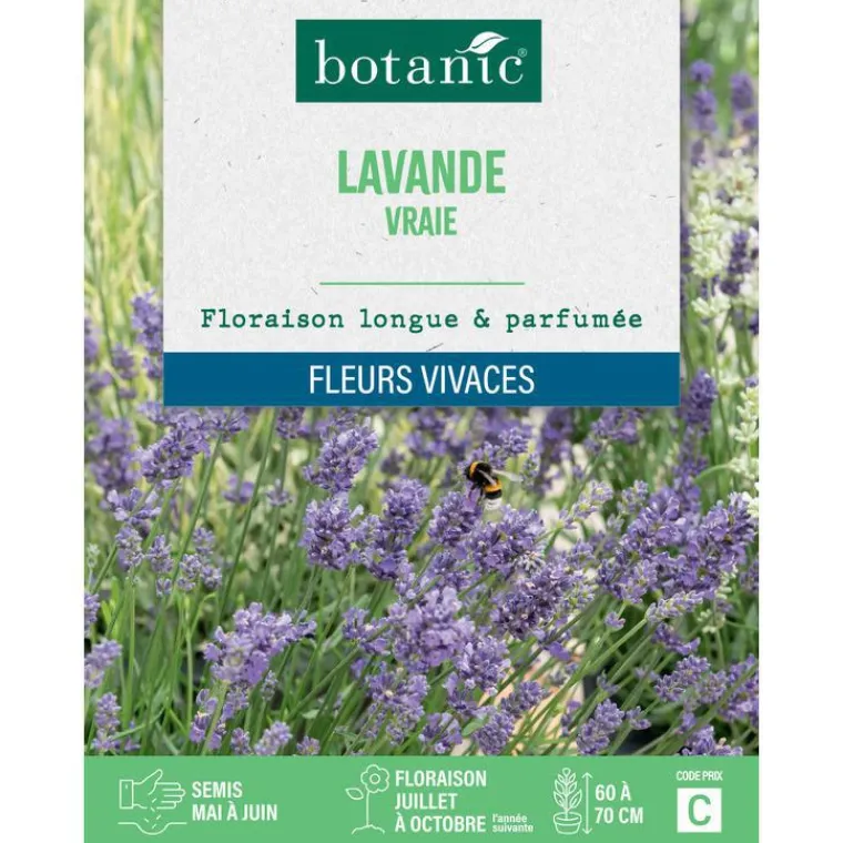 Hot BOTANIC® Graines de lavande variée - graines à semer