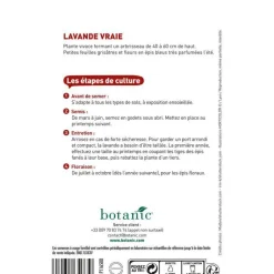 Hot BOTANIC® Graines de lavande variée - graines à semer