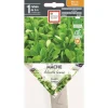 Clearance ERNEST TURC Graines de Mâche à grosse graine bio - graines à semer