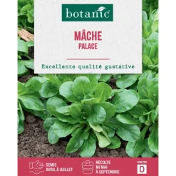 Online BOTANIC® Graines de mâche palace - graines à semer