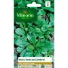 Best VILMORIN Graines de mâche verte de Cambrai - graines à semer