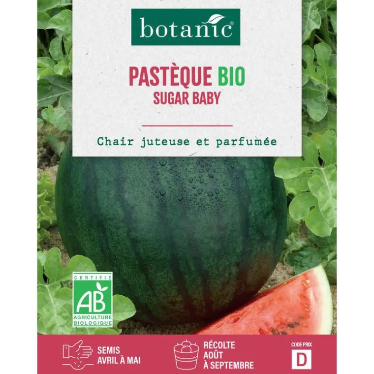 New BOTANIC® Graines de melon d'eau pastèque sugar baby bio - graines à semer