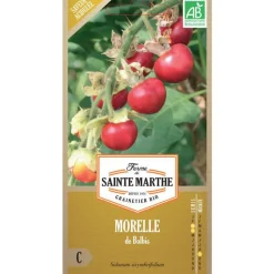 Discount FERME DE SAINTE MARTHE Graines de Morelle de Balbis bio - graines à semer
