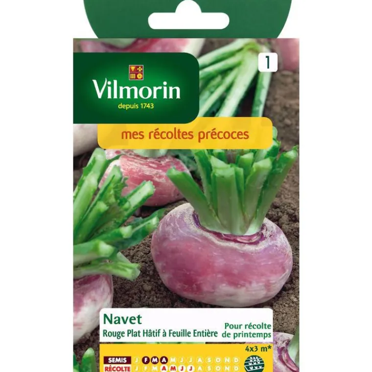 VILMORIN Graines de navet rouge plat hâtif - graines à semer