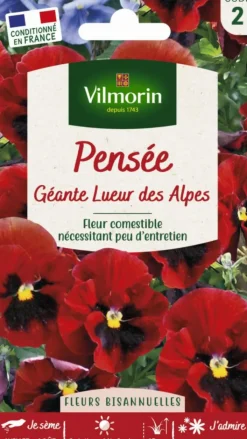 Clearance VILMORIN Graines de Pensée géante Lueur des Alpes - graines à semer