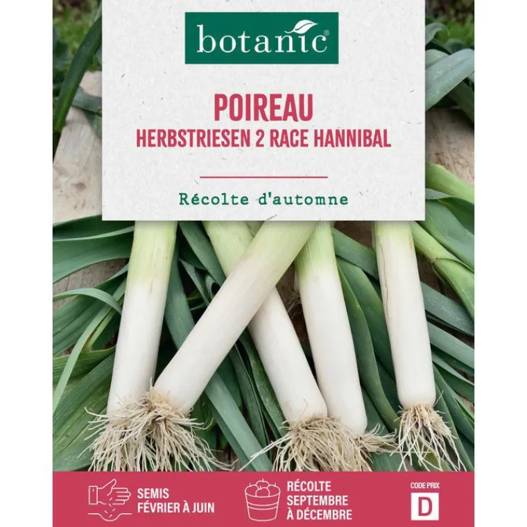 BOTANIC® Graines de poireau herbstriesen 2 race hannibal - graines herbstriesen semer