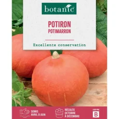 Best BOTANIC® Graines de potiron potimarron - graines à semer