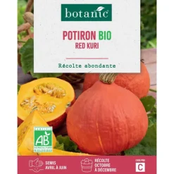 Sale BOTANIC® Graines de potiron red kuri potimarron bio - graines à semer