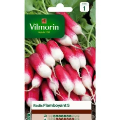 Online VILMORIN Graines de radis flamboyant - graines à semer