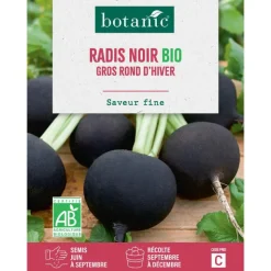 Discount BOTANIC® Graines de radis noir gros rond d'hiver bio - graines à semer