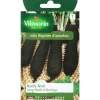 VILMORIN Graines de radis noir long poids horloge - graines à semer