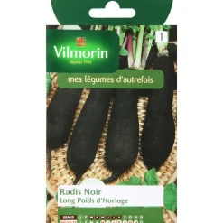VILMORIN Graines de radis noir long poids horloge - graines à semer