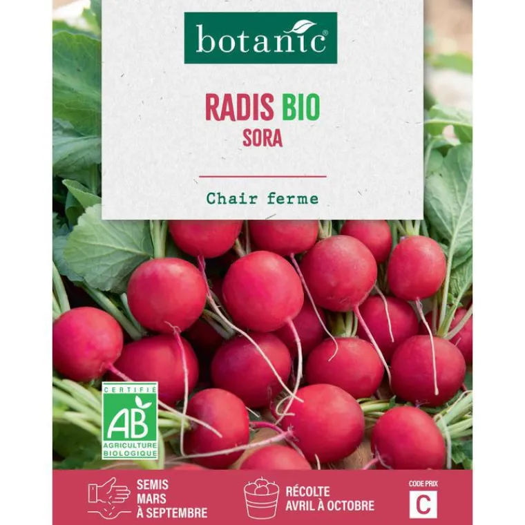 Hot BOTANIC® Graines de radis sora bio - graines à semer