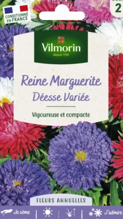 Discount VILMORIN Graines de Reine Marguerite Déesse Variée - graines à semer