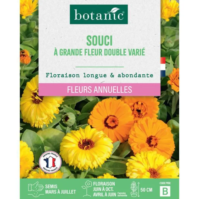 Best BOTANIC® Graines de souci à grande fleur double varié - graines à semer