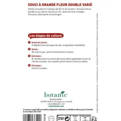 Best BOTANIC® Graines de souci à grande fleur double varié - graines à semer