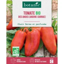 BOTANIC® Graines de tomate des andes bio - graines des semer