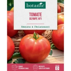 New BOTANIC® Graines de tomate olympe HF1 - graines à semer