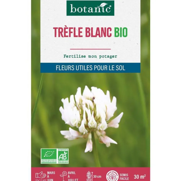 Hot BOTANIC® Graines de Trèfle blanc bio - graines à semer (30 m²)