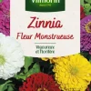 New VILMORIN Graines de Zinnia fleur monstrueuse - graines à semer