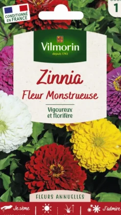 New VILMORIN Graines de Zinnia fleur monstrueuse - graines à semer