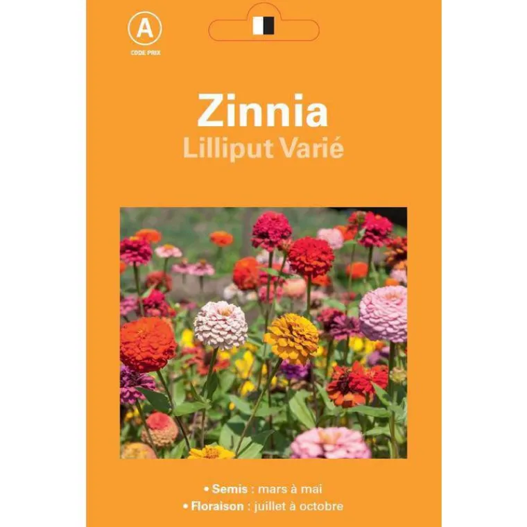 Online NO NAME Graines de Zinnia Lilliput varié - graines à semer