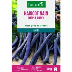 Clearance BOTANIC® Graines d'haricot nain purple queen - graines à semer 100 g