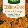 Hot VILMORIN Graines d’Œillet d’Inde Globe orange - graines à semer