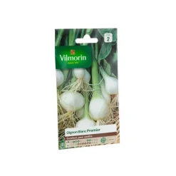 Hot VILMORIN Graines d’Oignon blanc - graines à semer