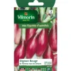 Outlet VILMORIN Graines d'oignon rouge de Florence race de simiane - graines à semer