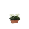 Géranium blanc plante artificielle en jardinière Terra 29x13x40 cm