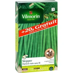 Discount VILMORIN Haricot nain sans fil Skipper - graines à semer