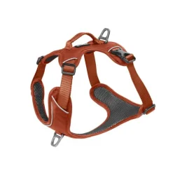 Clearance KYFLIE Harnais Momentum Taille 2 Circonférence cage thoracique 42-55cm Cuivre