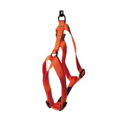 Sale MARTIN SELLIER Harnais réglable Orange 35/50cm