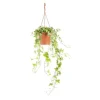 Hot Hedera Gold Child Panaché suspension Ø17xH70 cm